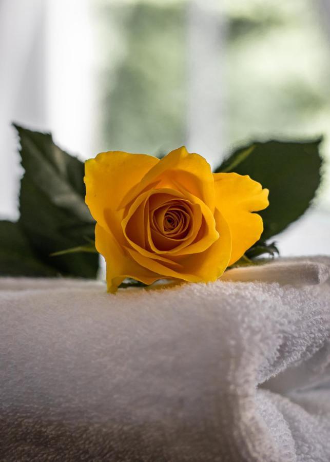 Guest house Scotia House - Beautifully Presented Harrogate